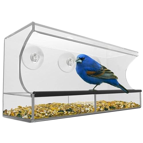 Mangeoires à oiseaux pour fenêtre avec ventouses pour petits espaces - 2