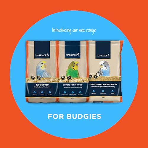 Marriages - Budgie Food, Budgie Seed and Bird Food with Red Millet, Yellow Millet, Wholesome, Bird Seed Packed with Fibre and Protein (1kg) - Image 5