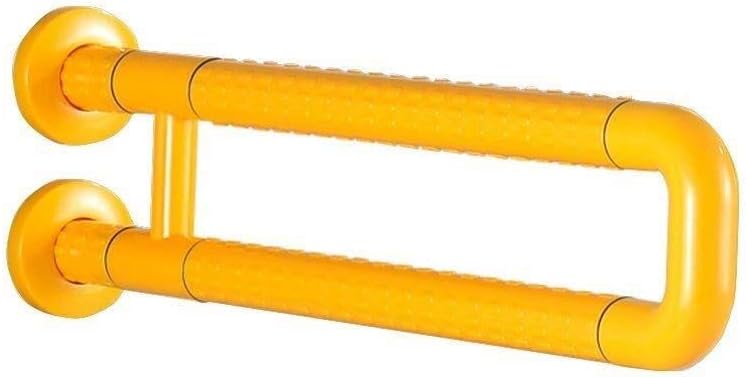 guida per i servizi igienici per anziani