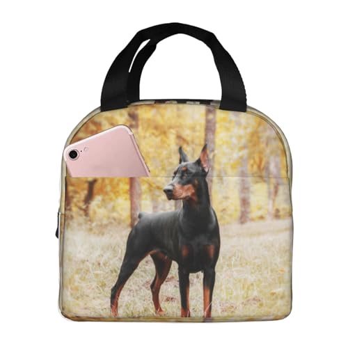 fM`obO e h MRh~ ŏv dAwZAAEghAɕ֗ jp (uE h[x} h[x}sV[ H̖؁X  )