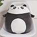 RAILONCH Coussin animal en peluche - Peluche - Cartoon - Coussin mignon - Cadeau unisexe (panda)