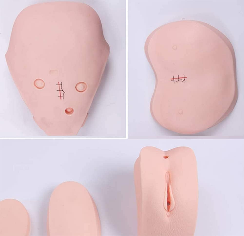 CHROX PVC-Multifunktionales Kombinations-Manikin-Modell, Patientenpflege-Simulator für Schüler, Trainingsfähigkeiten und Bildungsbedarf, Lebensgröße 170 cm