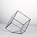 NCYP Small 3.93 Inches Geometric Glass Terrarium Box, Inclined Cube Clear Decorative Planter, Tabletop Air Plant Holder, Succulent Display Flower Pot, Black Centerpiece (No Plants, No Lid)