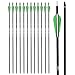 Archery Bow Carbon Arrow Hunting Target Practice Arrows 26 Inch with Removable Tips for Compound & Recurve Bow Spine 500 12PCS Pack