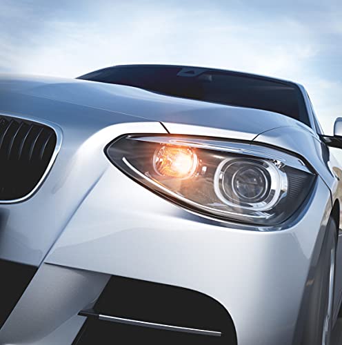 OSRAM DIADEM CHROME indicatore di direzione WY5W