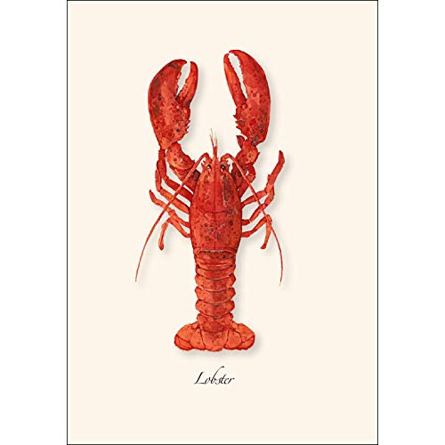 Image of Earth Sky + Water - Lobster Assortment Notecard Set - 8 Blank Cards with Envelopes (4 each of 2 styles)