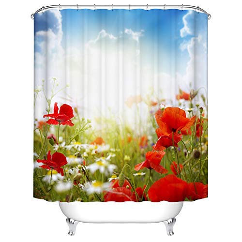 Shower Screen Set The Best Amazon Price In Savemoney Es