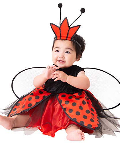 [Ԃ܁[] NX}X p[eB nEB RX`[  ߑ q j̎q ̎q xr[ ĂƂ 60-70cm