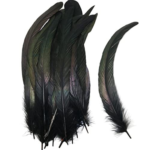 Rooster Feather Luorng 40Pcs 25-30Cm / 10-12Inch Black Natural Rooster Tail Feather Used Hats Costume Decoration, Cock Tail Feather #TOP2