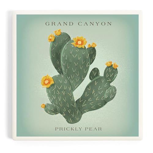 Lantern Press Prickly Pear Ceramic Coaster