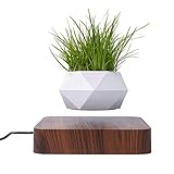 EUNEWR Magnetisch Levitation Pflanzentopf,Kreativität Magnetische Schwimmende Blumentopf,Suspension Blumentopf Pflanzgefäß Schwebender Luft Pflanzentopf für Home Gartentischdekoration