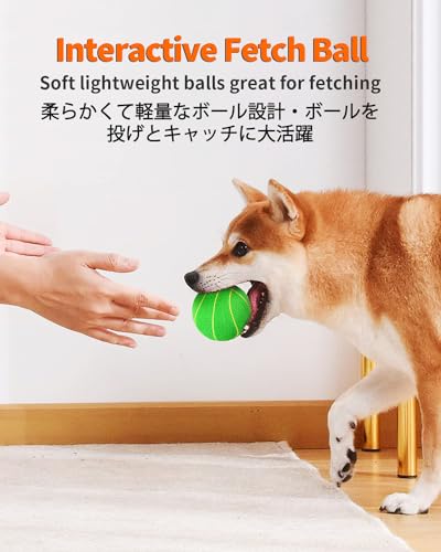 SCHITEC Quietschende Hundebälle, [4 Stück] Latex Hundespielzeug, Interaktive Hundebälle mit Quietscher für Mittelgroße Hunde, 2.8'' Soft Bouncy Fetch Play Bälle Spielzeug