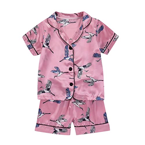 Toddler Satin 𝐏ajamas Matching Shorts Set for Baby Girls Boys Button Down Shirt and Loung𝐞 Shorts 𝐒ilk 𝐏a𝐣ama Set