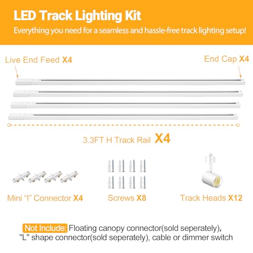Vanoopee ITK10W5CCTW12 5-Color 12-Light Led Track Lighting Kit thumb #1