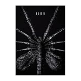 Displate