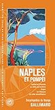  Naples et Pompéi: Ischia et Procida, la côte sorrentine, Capri, le Vésuve, la côte amalfitaine