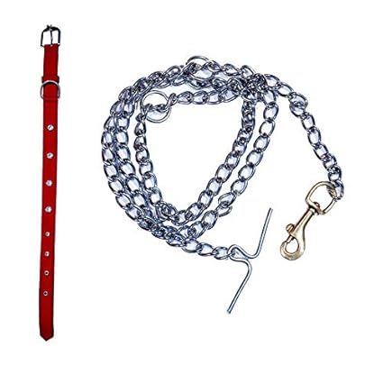 Tame Love Imported Stone Stud Fancy Dog Collar in Red Color (1.25 Inch) and Dog Chain for Medium Dog (152 cm)