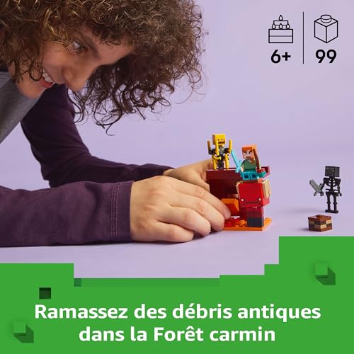 Lego La Bataille De La Lave Du Nether 21266 Lego La Boite - vue 2