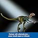 Mattel Jurassic World Hammond Collection Dinosaur Action Figure Dryosaurus, Premium Design with Realistic Eyes, 17 Articulated Joints & Swappable Jaw