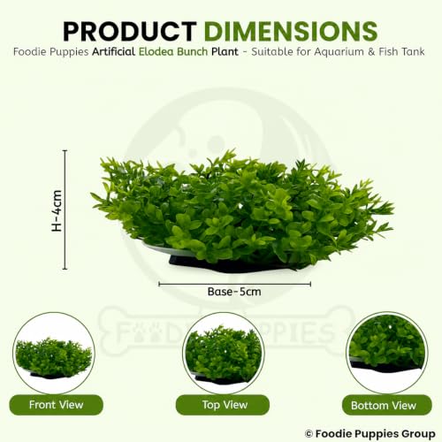 Image of Foodie Puppies Aquarium Plastic Plants with Resin Base - (Elodea Bunch Plant, Set of 2, 5 x 4 x 4 cm) for Fish Tank, Freshwater & Saltwater Natural Decor