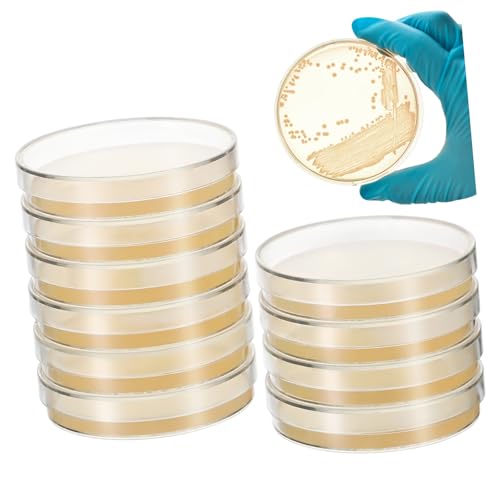 MUSISALY 10pcs Nutrient Agar Plates 7cm Petri Dishes Agar Plates Mycology Supplies