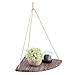 HERCHR Étagère d’Angle Flottante en Bois, Étagère Murale en Coin Tablette décoration avec Corde de Chanvre pour Haut-parleurs, Livres, Petit Pot de Fleur