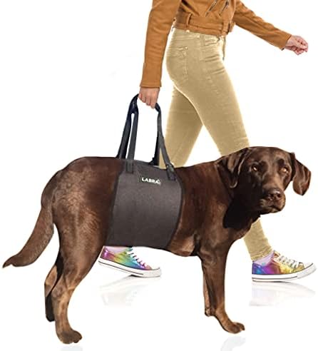Labra Veterinarian Approved Dog Canine K9 Sling Lift with Adjustable Straps - Support Harness for Loss of Stability Caused by Joint Injuries and Arthritis, ACL Rehabilitation - Large