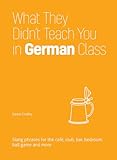 What They Didn't Teach You in German Class: Slang Phrases for the Cafe, Club, Bar, Bedroom, Ball Game and More (Dirty Everyday Slang)
