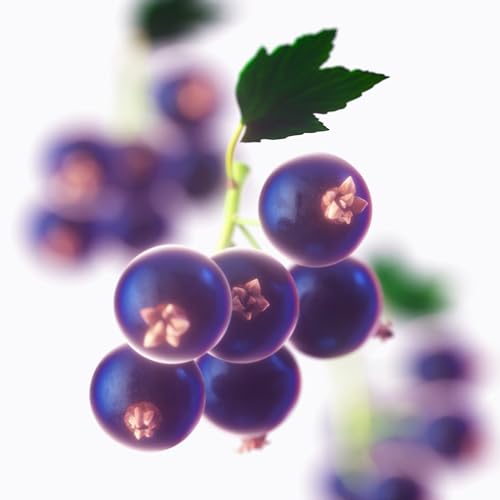 Tommy Hilfiger Women Girl Now Floral Fragrance Liquid Eau De Toilette 100Ml - Image 3