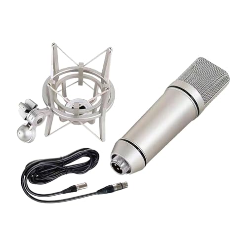 Garende Multifunctional Desk Microphone for Music Production and, 48V16