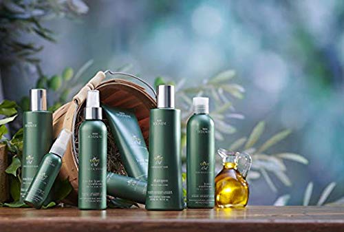 Regis Designline - Olive Oil Trio Kit - Shampoo & Conditioner Treatment Restores Dry And Damaged Hair Without Build-Up And Protects Against Damage, Dryness, And Color Fading (3 Pack) #TOP5