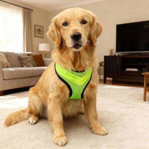 Arnés antitirones para perro pequeño con luces LED y chaleco ajustable reflectante 4