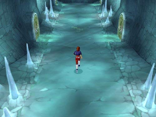 Digimon World Data Squad - PlayStation 2 (Renewed)