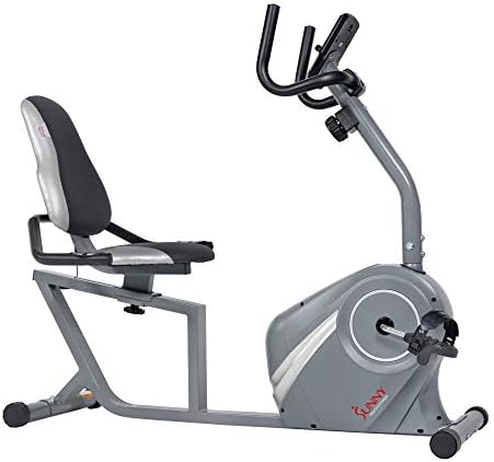 DELA DISCOUNT 41K5LhRoodL._AC_ Sunny Health & Fitness Recumbent Bike - SF-RB4876, silver  