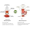 Juicer Machine,Slow Juicer Higher Nutrients and Vitamins Cold Press Juicer Machine for Fruit and Vegetable Components