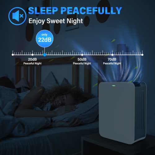 https://m.media-amazon.com/images/I/41K5P3kfixL._SL500_.jpg
