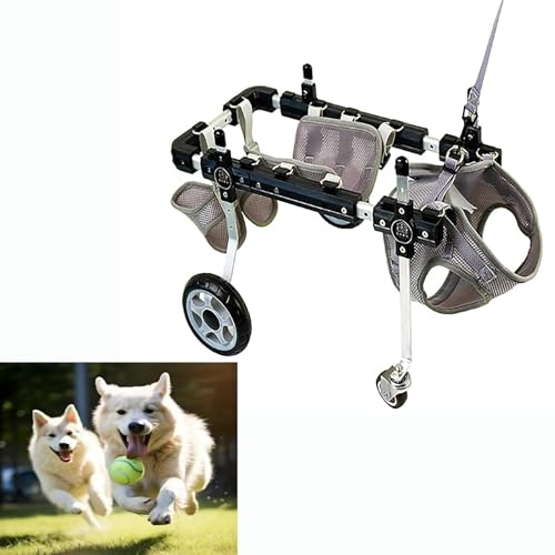 yʌԈ֎q ߉\ȃA~LppԈ֎qړ⏕ TCY(M)