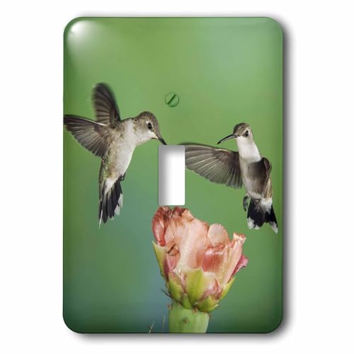 Interrupteur simple colibri et cactus de 3dRose pour plaque murale - 2
