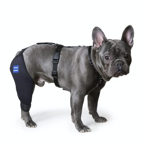 Image of Dog Knee Brace with Harness and Connection Belt, Lightweight and Stretchable, Support for Torn ACL Hind Leg, Luxating Patella, Reduces Arthritis Pain and Inflammation (X-Small)