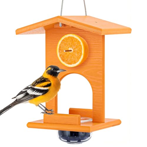 Gbekery Oriole Feeders for Outdoors Hanging,All-in-One Recycled Plastic Oriole Feeder with A Removable Glass Cup Jelly or Jam, Fruit, Nectar or Seed for Orioles,Orange,1 Pack