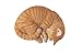 Hi-Line Gift Ltd Lying Cat Sleeping Tabby Statue, Orange
