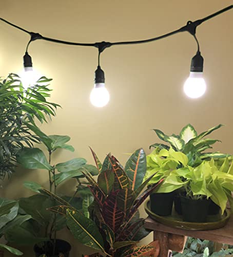 Miracle Led Un-Edison Energy Miser Plant-To-Plant Grow Light Kit Full Spectrum Bulbs Replacing 60W (4-Pack) With Sproutmatic Grow Light Timer (609873) #TOP1