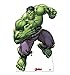 Advanced Graphics Hulk Life Size Cardboard Cutout Standup - Marvel's Avengers Animated