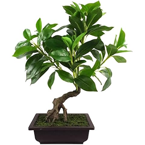Leaf 50cm Realistic Artificial Bonsai Tree Cover