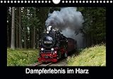 Autor(in): Marion Maurer Dampferlebnis im Harz (Wandkalender 2021 DIN A4 quer)