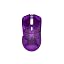 TS-Purple