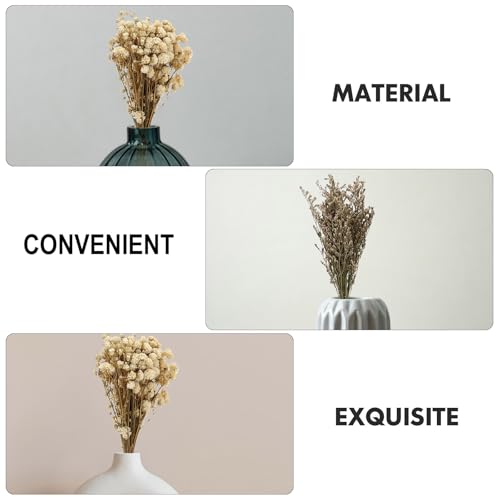 Set de 6 ramos de flores secas Babysbreath para decoración miniatura 7