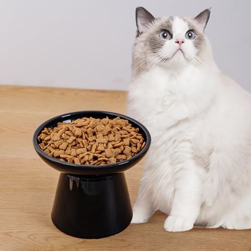 KITCHENLESTAR 6.2 Inch Extra Wide Elevated Ceramic Cat Bowls, Food and Water Bowl Set for Elder Big Cats Small Dogs, Raised Design for Pet Easy Eating, Protect Cat\'s Spine Set of 2(Black) - Thumbnail 6
