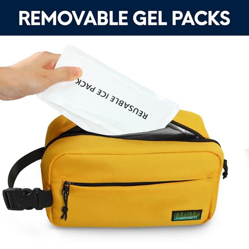 Haimont Freezable Snack Cooler
