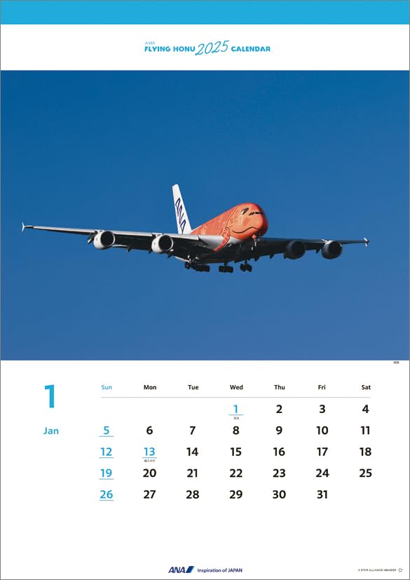 Amazon.co.jp: ANA「A380 FLYING HONU」 2025年 カレンダー 壁掛け